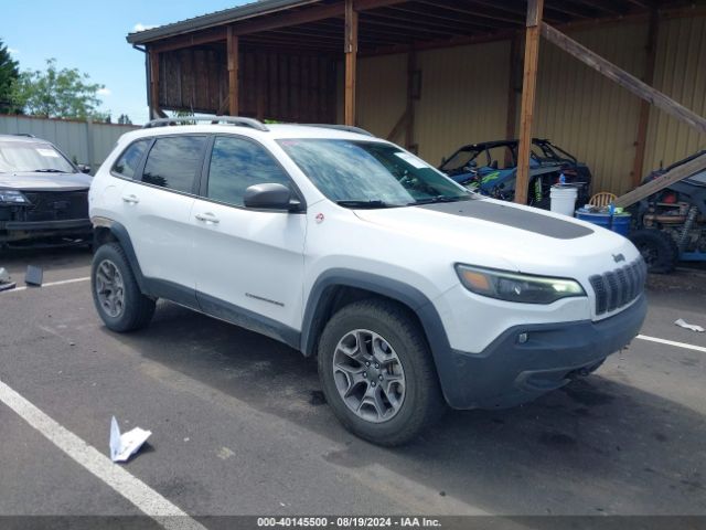 JEEP CHEROKEE 2020 1c4pjmbx6ld604579