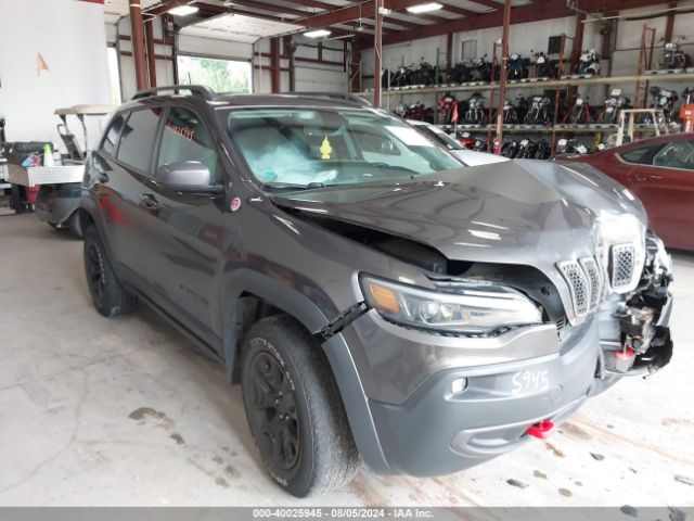 JEEP CHEROKEE 2019 1c4pjmbx7kd186533