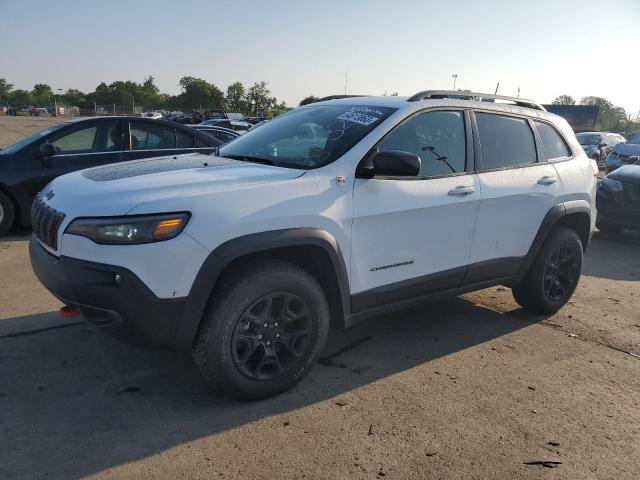 JEEP CHEROKEE T 2020 1c4pjmbx7ld581832