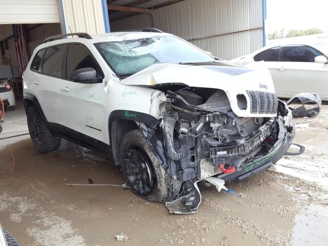 JEEP CHEROKEE T 2019 1c4pjmbx8kd254225