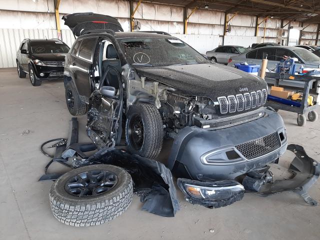 JEEP CHEROKEE T 2019 1c4pjmbx8kd284115