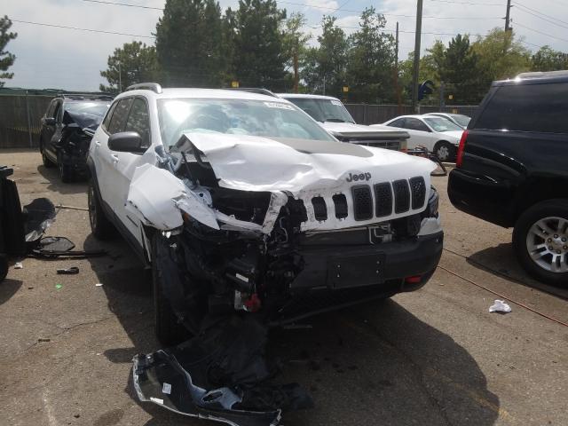 JEEP CHEROKEE T 2019 1c4pjmbx8kd328548