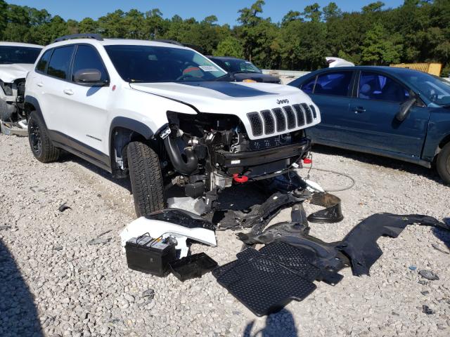 JEEP CHEROKEE T 2021 1c4pjmbx8md216805