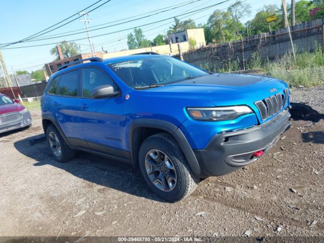 JEEP CHEROKEE 2019 1c4pjmbx9kd376155