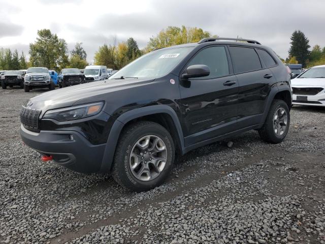 JEEP CHEROKEE T 2019 1c4pjmbx9kd400793