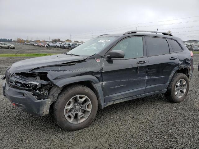 JEEP CHEROKEE 2019 1c4pjmbxxkd244974