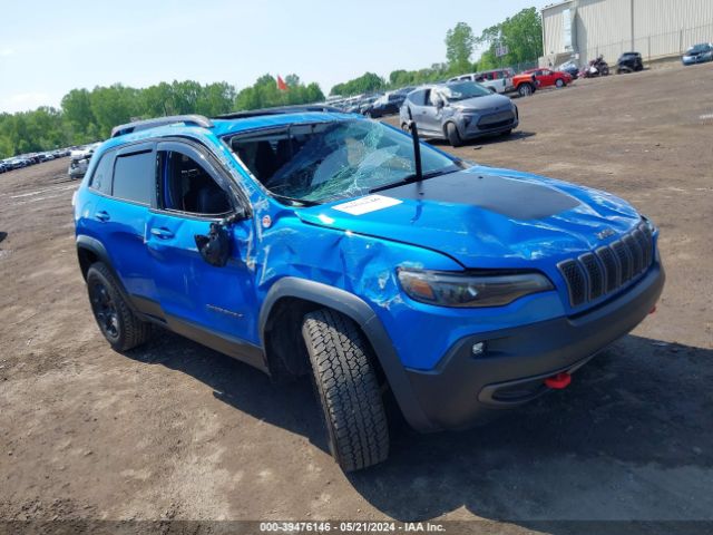 JEEP CHEROKEE 2019 1c4pjmbxxkd246109