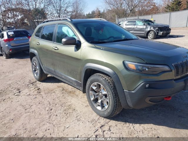 JEEP CHEROKEE 2019 1c4pjmbxxkd253576