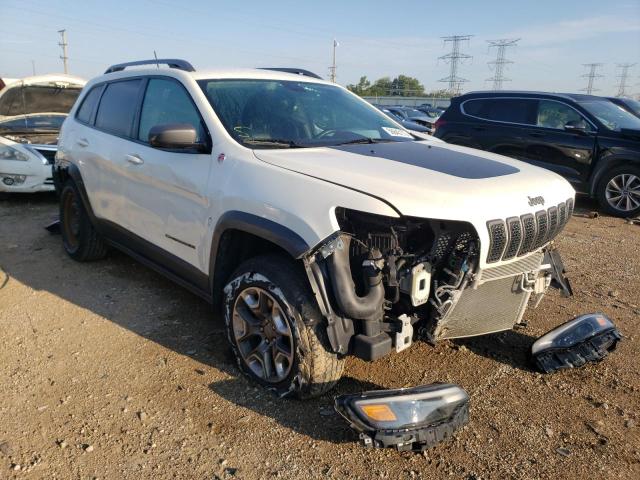 JEEP CHEROKEE T 2019 1c4pjmbxxkd310696