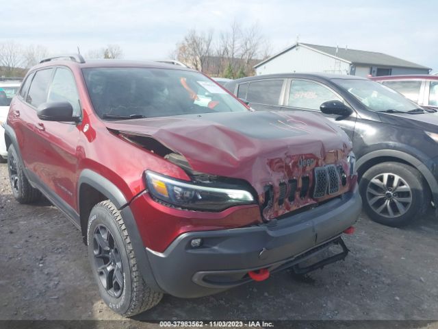 JEEP CHEROKEE 2019 1c4pjmbxxkd318975