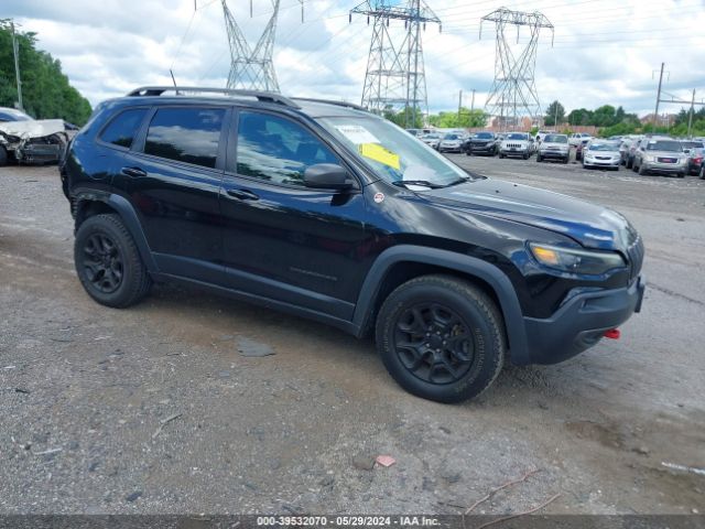 JEEP CHEROKEE 2019 1c4pjmbxxkd433544