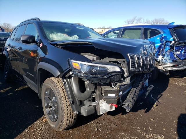 JEEP CHEROKEE 2019 1c4pjmbxxkd471355