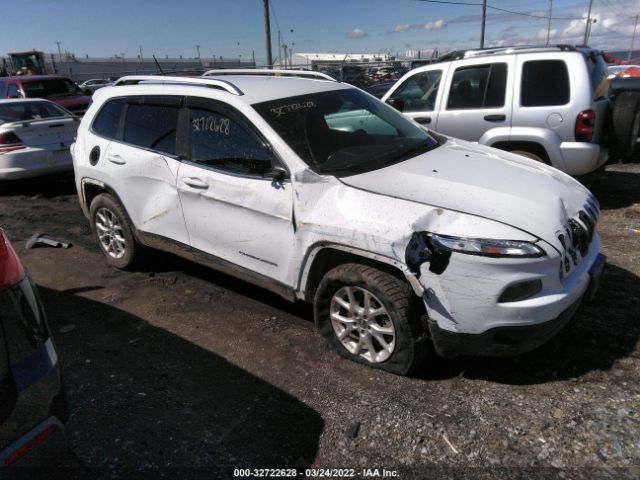 JEEP CHEROKEE 2014 1c4pjmcb0ew272455