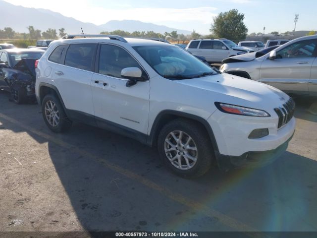 JEEP CHEROKEE 2015 1c4pjmcb0fw667379