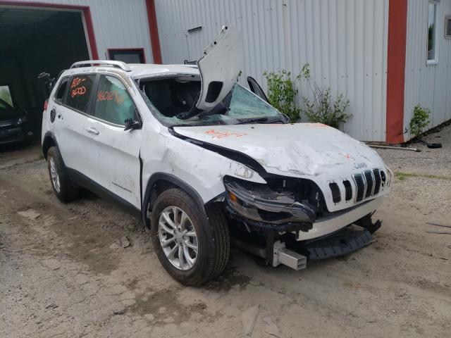 JEEP CHEROKEE L 2019 1c4pjmcb0kd489897