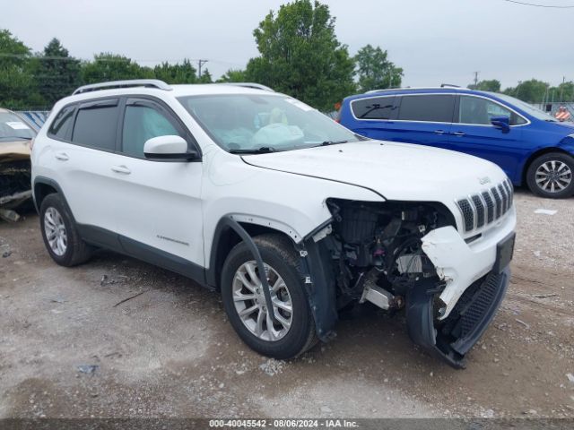 JEEP CHEROKEE 2020 1c4pjmcb0ld546858