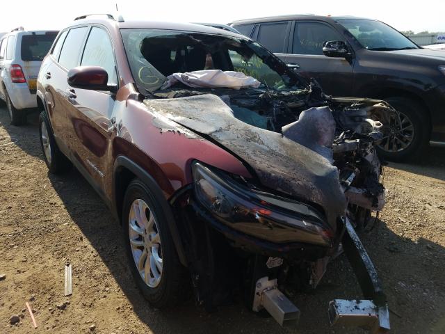 JEEP CHEROKEE L 2020 1c4pjmcb0ld570738