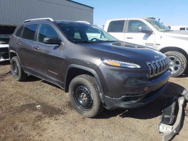 JEEP CHEROKEE L 2014 1c4pjmcb1ew144645