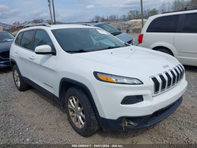 JEEP CHEROKEE 2014 1c4pjmcb1ew144970