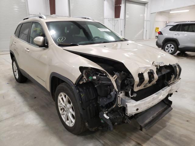 JEEP CHEROKEE L 2014 1c4pjmcb1ew230800