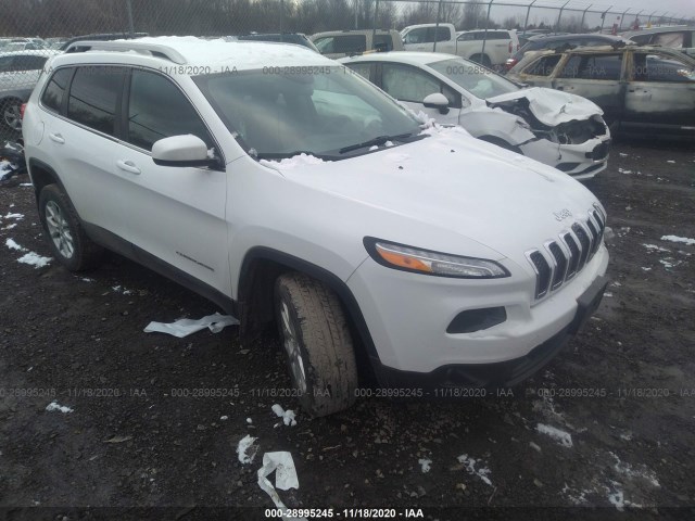 JEEP CHEROKEE 2014 1c4pjmcb1ew260623