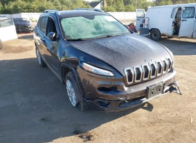 JEEP CHEROKEE 2014 1c4pjmcb1ew291497