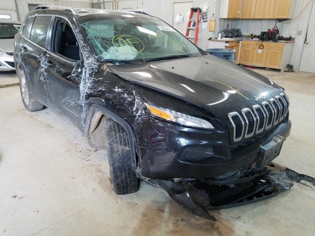 JEEP CHEROKEE L 2014 1c4pjmcb1ew308038