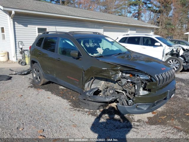 JEEP CHEROKEE 2016 1c4pjmcb1gw295987