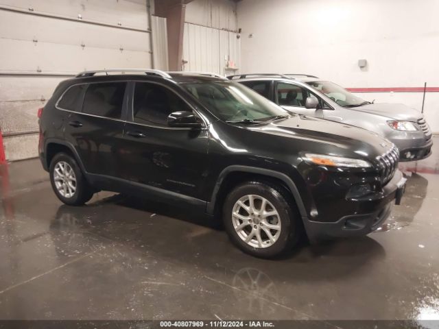 JEEP CHEROKEE 2016 1c4pjmcb1gw301772