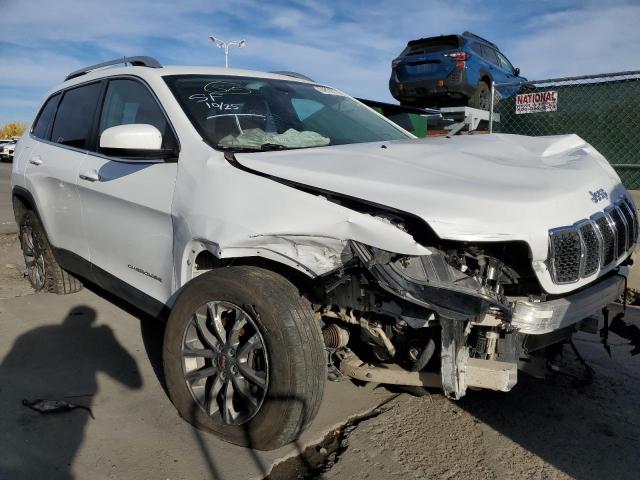 JEEP CHEROKEE L 2019 1c4pjmcb1kd352418