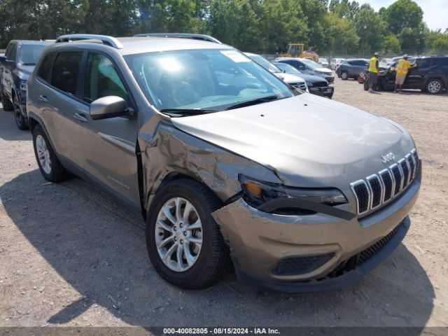 JEEP CHEROKEE 2020 1c4pjmcb1ld580100