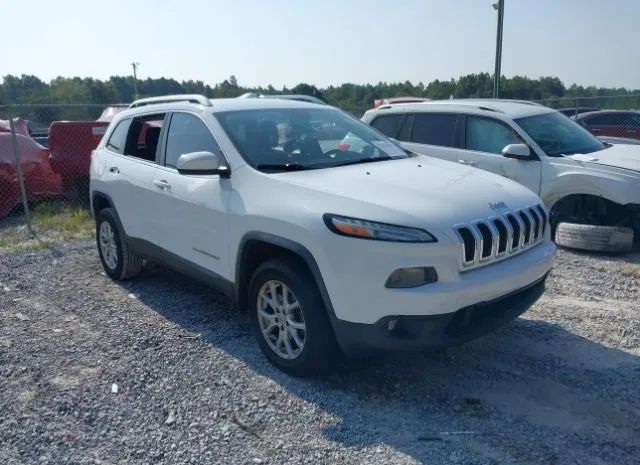 JEEP CHEROKEE 2014 1c4pjmcb2ew247041