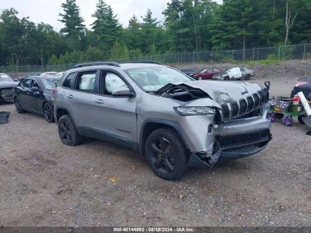 JEEP CHEROKEE 2016 1c4pjmcb2gw191587