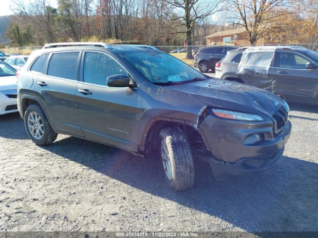 JEEP CHEROKEE 2015 1c4pjmcb3fw636126