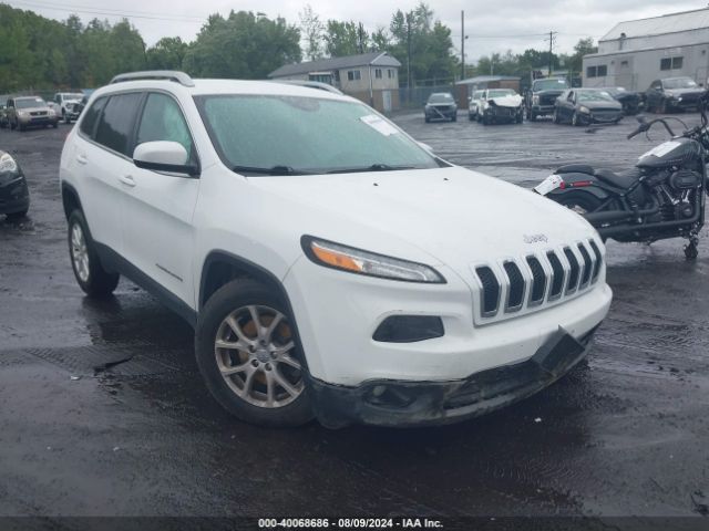 JEEP CHEROKEE 2016 1c4pjmcb3hw546963