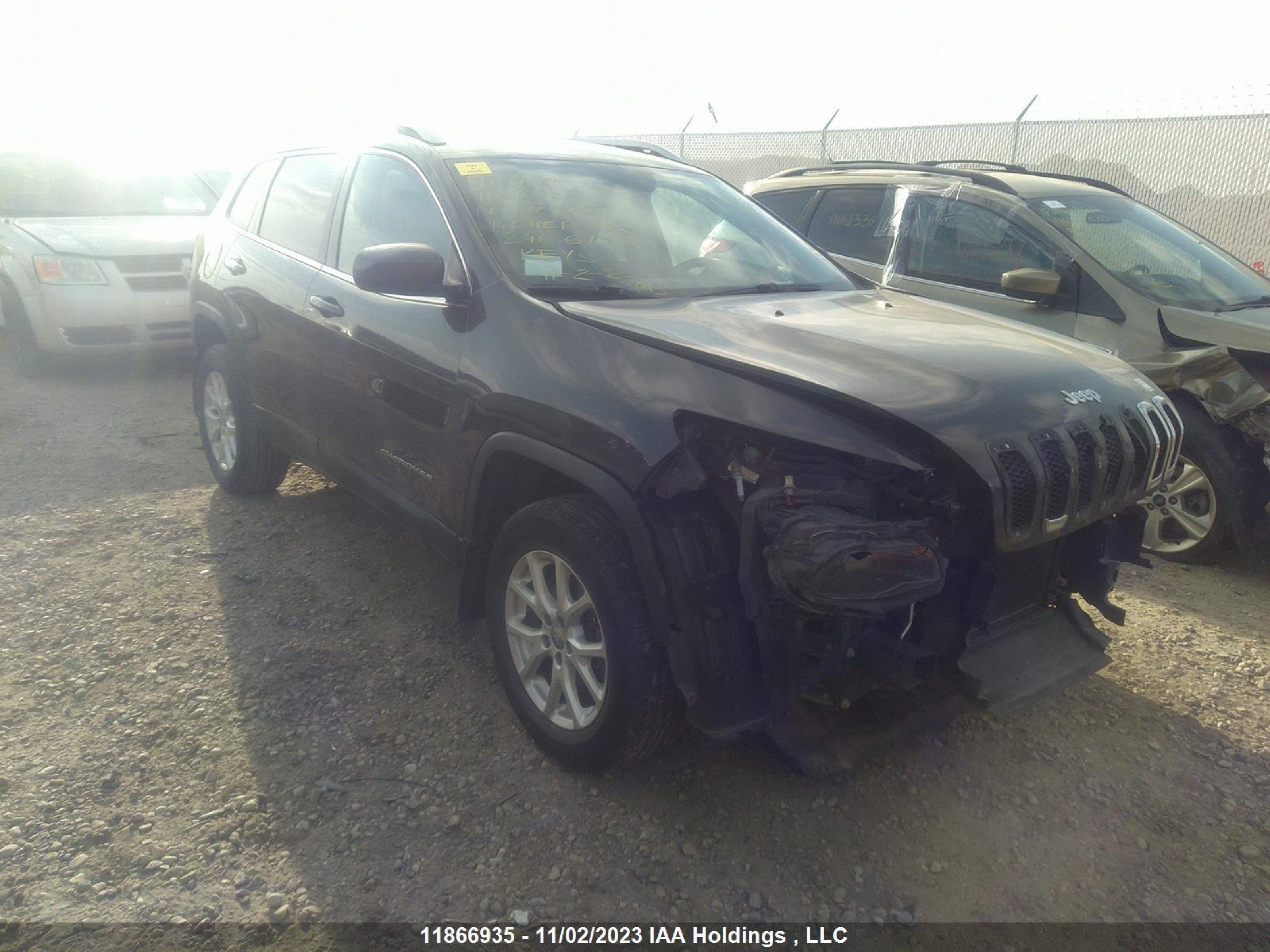 JEEP CHEROKEE 2014 1c4pjmcb4ew157325