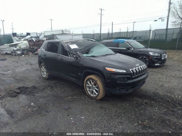 JEEP CHEROKEE 2016 1c4pjmcb4gw117233