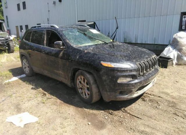 JEEP CHEROKEE 2016 1c4pjmcb4gw175715