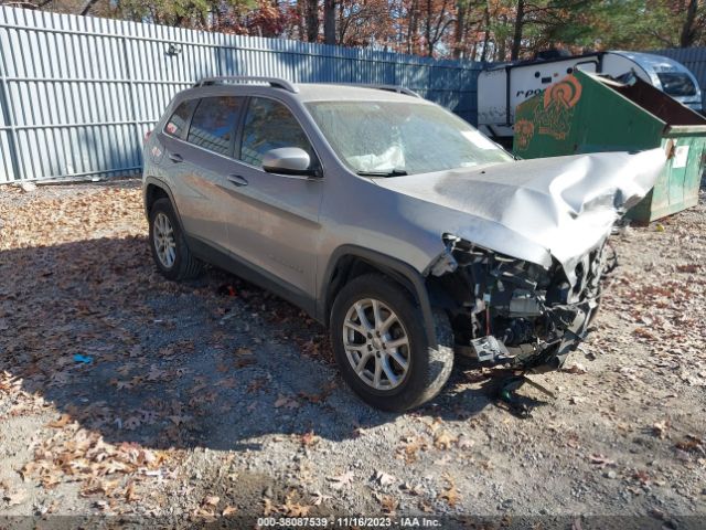 JEEP CHEROKEE 2016 1c4pjmcb4gw221303