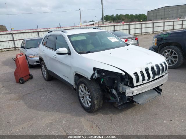 JEEP CHEROKEE 2016 1c4pjmcb4gw254933