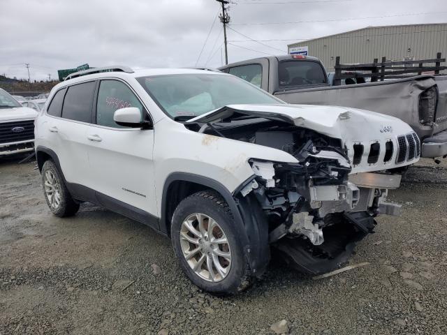 JEEP CHEROKEE L 2019 1c4pjmcb4kd279495