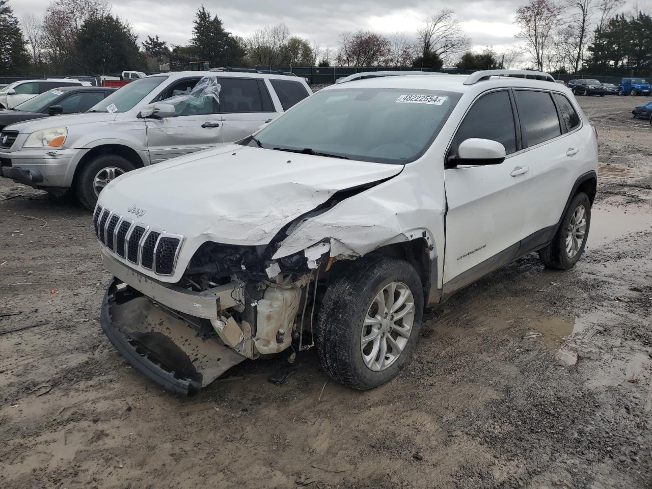 JEEP GRAND CHEROKEE 2019 1c4pjmcb4kd343101