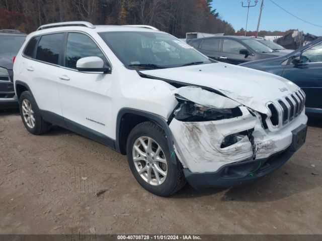 JEEP CHEROKEE 2016 1c4pjmcb5gw187646