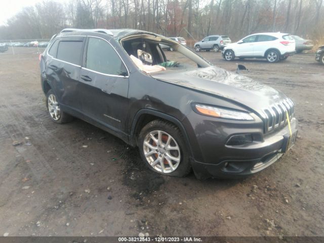 JEEP CHEROKEE 2016 1c4pjmcb5gw221276