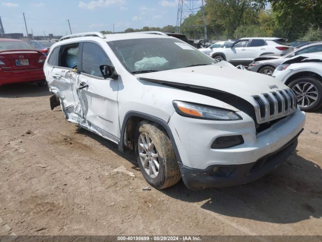 JEEP CHEROKEE 2017 1c4pjmcb5hw511597