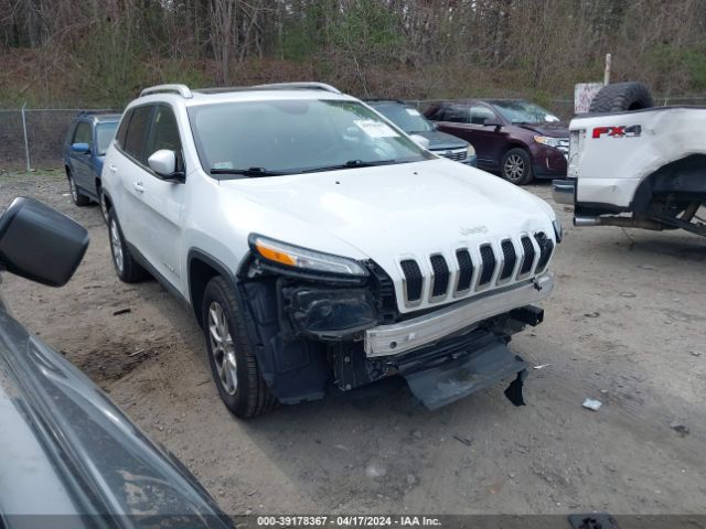 JEEP CHEROKEE 2017 1c4pjmcb5hw614468