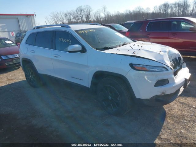 JEEP CHEROKEE 2014 1c4pjmcb6ew253604