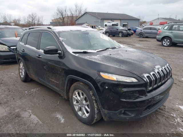 JEEP CHEROKEE 2014 1c4pjmcb6ew273318