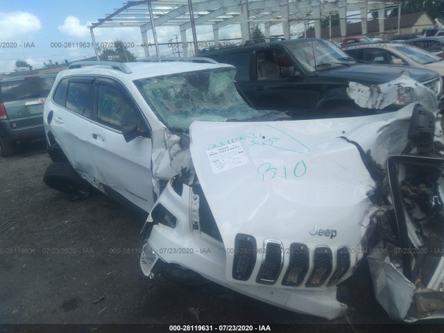 JEEP CHEROKEE 2016 1c4pjmcb6gw104113