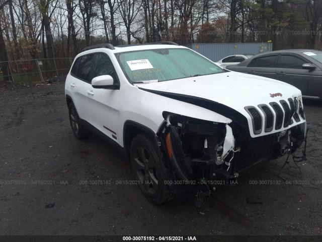 JEEP CHEROKEE 2016 1c4pjmcb6gw309169